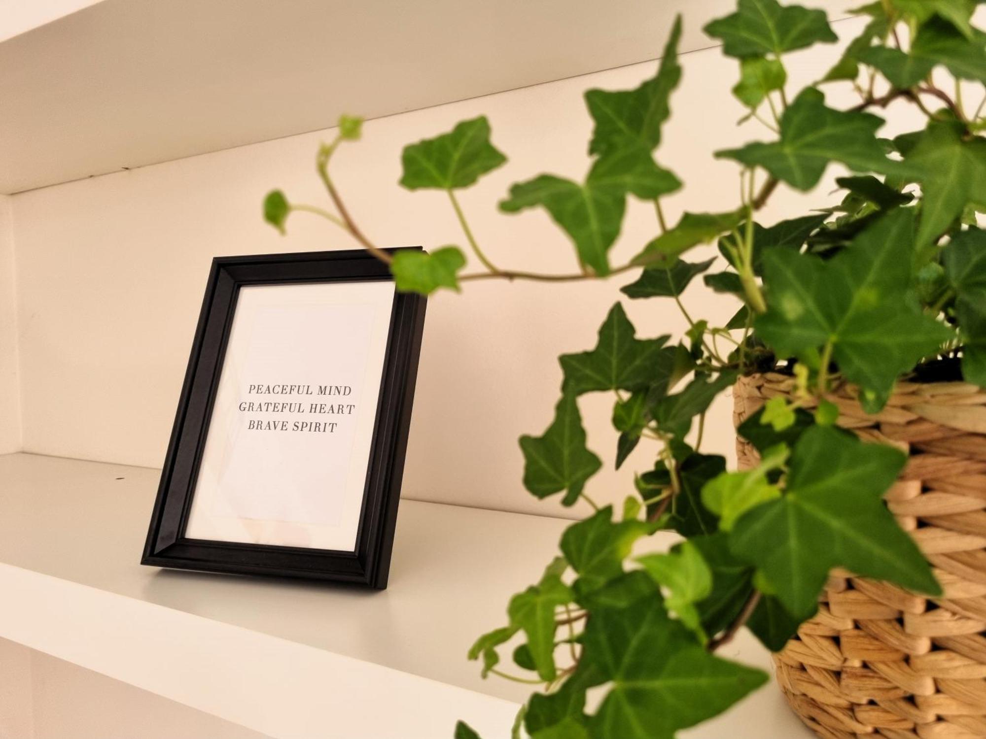 فيلا Relais Cassia Rome - Parking, Wi-Fi & Barbecue المظهر الخارجي الصورة